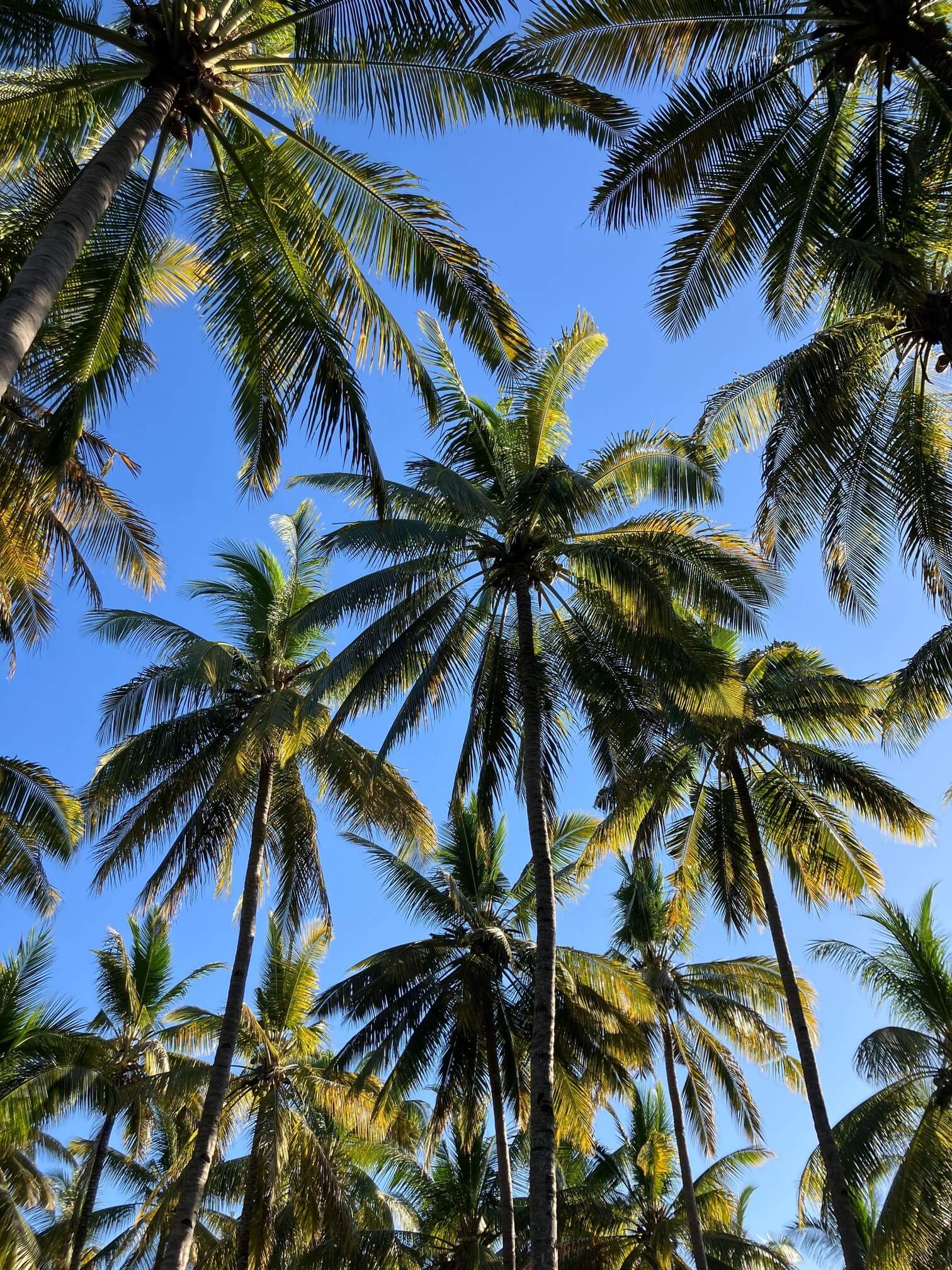 Digital nomad at Working on Air